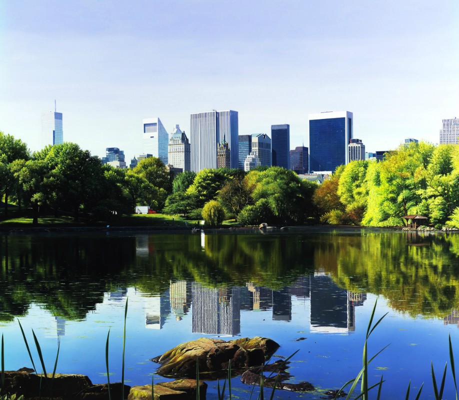 CENTRAL PARK, oil on canvas, 2010, 100 X 115 cm. 